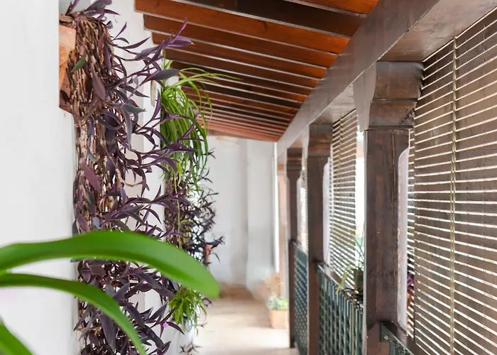 Apartamento Corral Del Esquivel